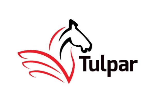 Tulpar Global Taxation