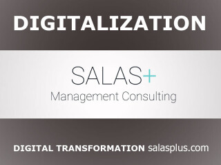 Digitalization, Digital Transformation and Project Management