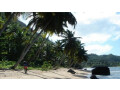 terrenos-lineales-a-la-playa-las-terrenas-small-2