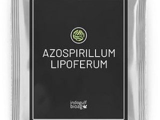 Get Azospirillum Lipoferum – Fast Results, Bulk Orders Available!