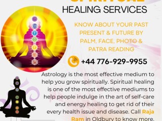 Astrologer and psychic healer raja ram