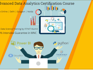 Best Data Analyst Course in Delhi.110011. Best Online Live Data Analyst Training in Srinagar by IIT Faculty , [ 100% Job in MNC]