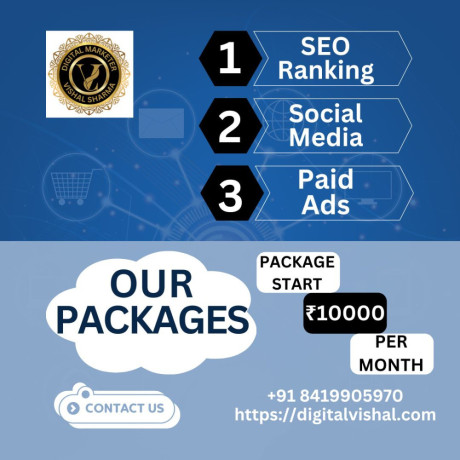 digital-marketing-freelancer-in-mumbai-package-10kmo-digital-vishal-big-0