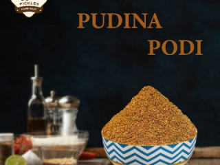 Best Pudina podi in Andhra Pradesh