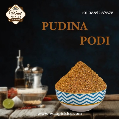 best-pudina-podi-in-andhra-pradesh-big-0