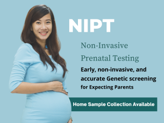 NIPT Test by RML Pathology – Safe and Accurate Prenatal Screening