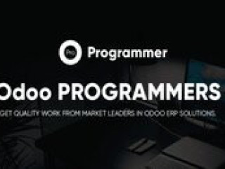 Hire Best Odoo Programmers | Expert Open ERP Developers