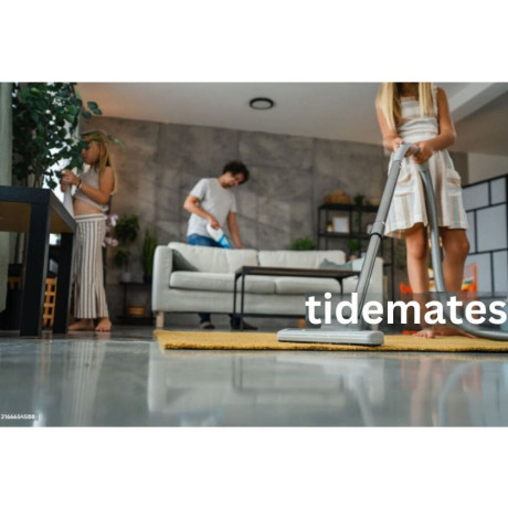 affordable-couch-steam-cleaning-services-tarneit-tidemates