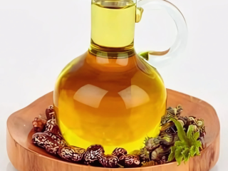 Castor Oil Manufacturer in Delhi.