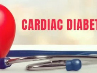 Cardiac Diabetic Range | Saturn Formulations