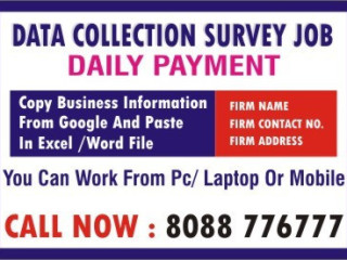 Data Survey Job | Online jobs | Daily payment |