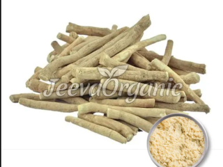 Bulk Withania Somnifera Supplier - Premium Grade