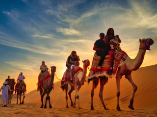 Unforgettable Desert Safari in Dubai: The Ultimate Safari Adventure