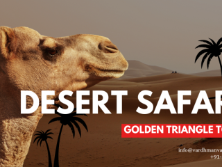 Desert Safari with Golden Triangle: A Journey Through Heritage and Sand Dunes