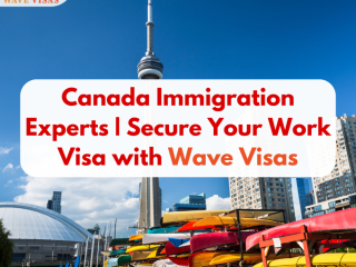 Canada Immigration Experts | Secure Your Work Visa with Wave Visas"