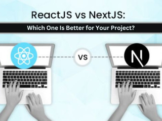 Nextjs vs Reactjs: Which One Is Better for Your Project