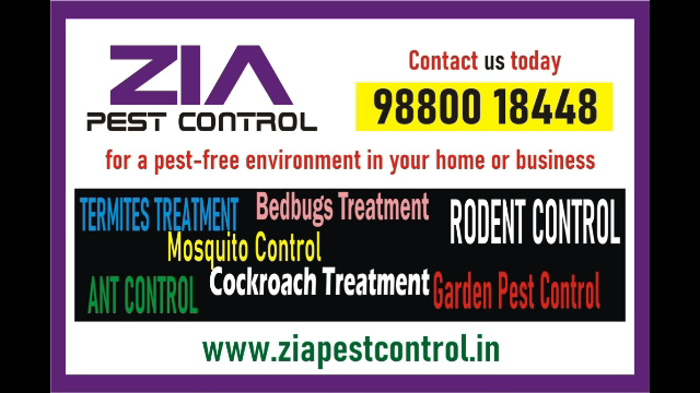 Pest Control Cleaning Service  Cockroach servie Up