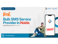 why-shree-tripada-is-best-bulk-sms-service-provider-in-noida-small-0