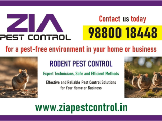 Effective Rodent pest Control | Best deals  | Bangalore | 4008 | Kammanahalli