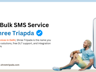 Why Shree Tripada is Delhi's Best Bulk SMS Provider?