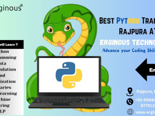 Master Python Training In Rajpura With Erginous Technologies