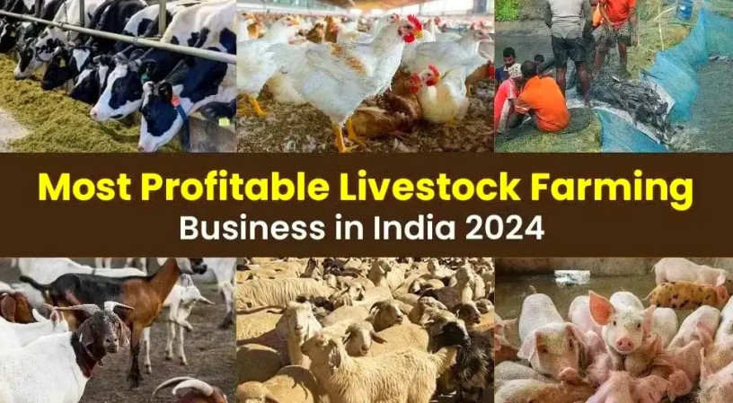 get-to-know-about-the-livestock-farming-business-in-india