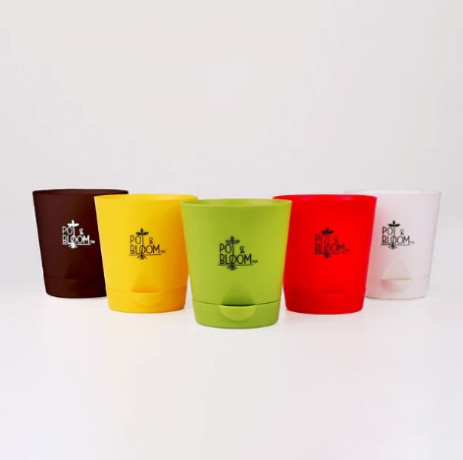 pot-and-bloom-accessories-perfect-add-ons-for-your-plants
