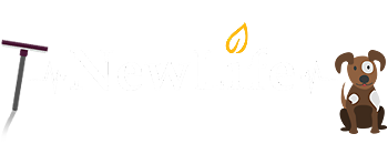 Carpet Cleaning New Life