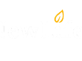 Carpet Cleaning New Life