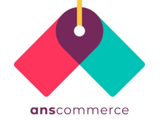 ANS Commerce: Comprehensive E-Commerce Solutions for Your Brand