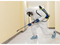 trusted-pest-control-in-bellaire-tx-call-us-now-small-0