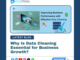 Why Is Data Cleaning Crucial for Business Growth?