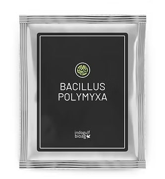 Bacillus Polymyxa for Sale – Quality Assured!