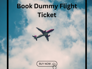 Simplify Your Visa Application with a Free Dummy Flight Ticket