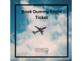 simplify-your-visa-application-with-a-free-dummy-flight-ticket-small-0