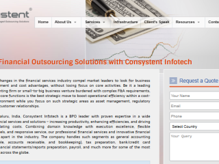 Innovative Financial Services by ConsystentInfo – Your Professional Partner