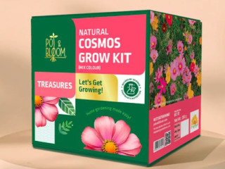 Pot and Bloom Grow Kits: Your Gardening Journey Starts Here