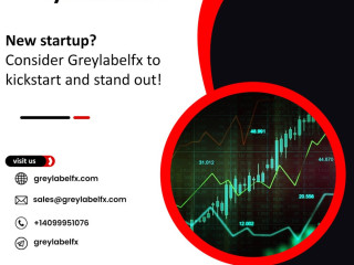 GreyLabelFX: Your Partner in Premium Grey Label Trading Platforms (MET5)