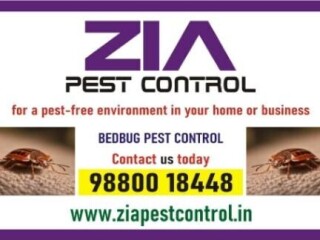 Bedbug Treatment | white field Bangalore | 100% safe Service | 4029