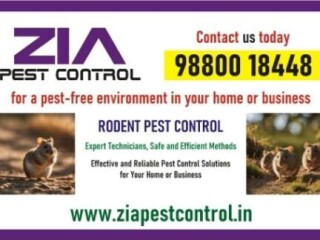 Get rid of Rodent | Rodent control treatment | hotels | 4029 | apartments