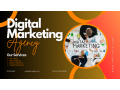 transform-your-brand-with-omelogix-solutions-local-experts-in-digital-marketing-small-0