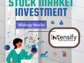 Intensify research services Low risk investment option