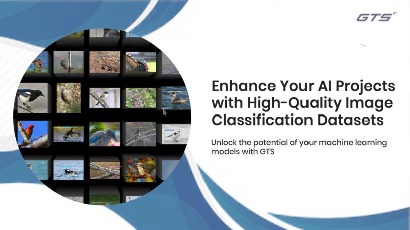 enhance-ai-accuracy-with-expert-image-classification-dataset-services