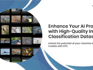 Enhance AI Accuracy with Expert Image Classification Dataset Services