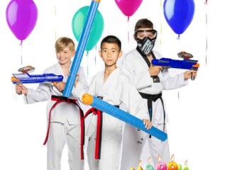 Host Memorable Martial Arts Birthday Parties in Oakville