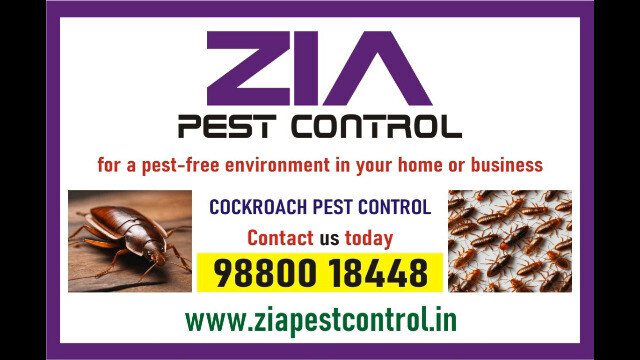 Cockroach Cleaning service | Upto 50% Off | Bangalore  White field | 4013