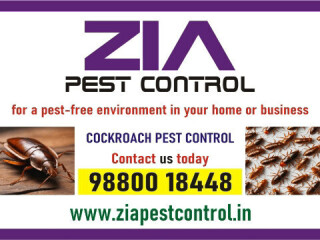 Cockroach Cleaning service | Upto 50% Off | Bangalore  White field | 4013