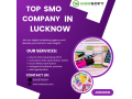 top-social-media-company-in-lucknow-small-0