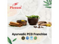 ayurvedic-pcd-franchise-plenum-biotech-small-0