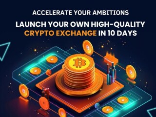 Develop Your Crypto Exchange Software at low Cost from hivelance